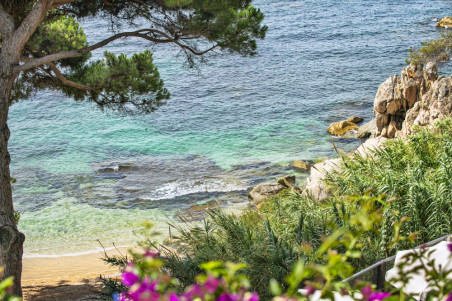 Hotel Cala del Pi: Special Vermouth For 2 with sea views