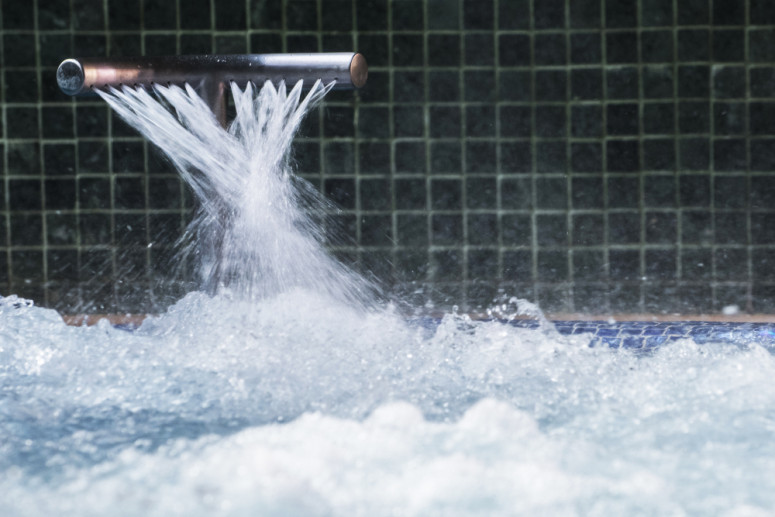 Hotel Cala del Pi:  Cala del Pi Roots... Hotel Cala del Pi:  Cala del Pi Roots...