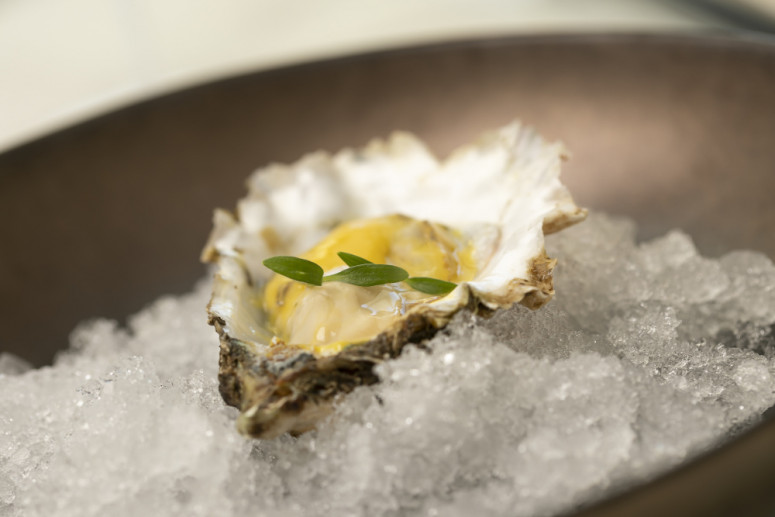 Hotel Marina Badalona: Tasting Menu... Hotel Marina Badalona: Tasting Menu...