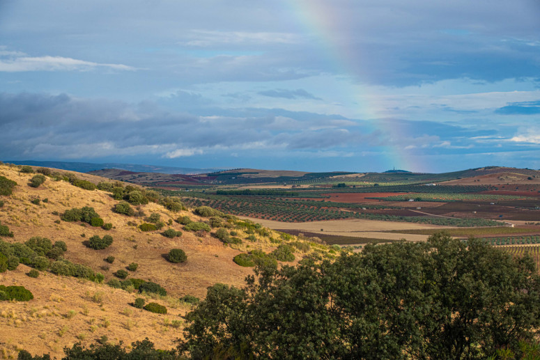 Hotel LC: Olive Grove Duo Ritual + Spa