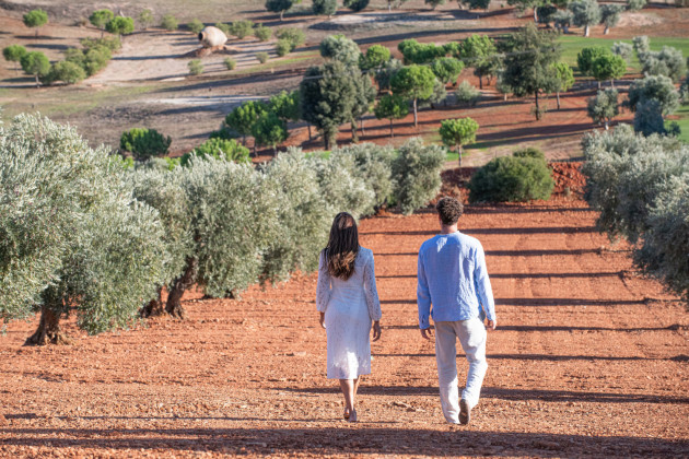 Hotel LC: Olive Grove Duo...