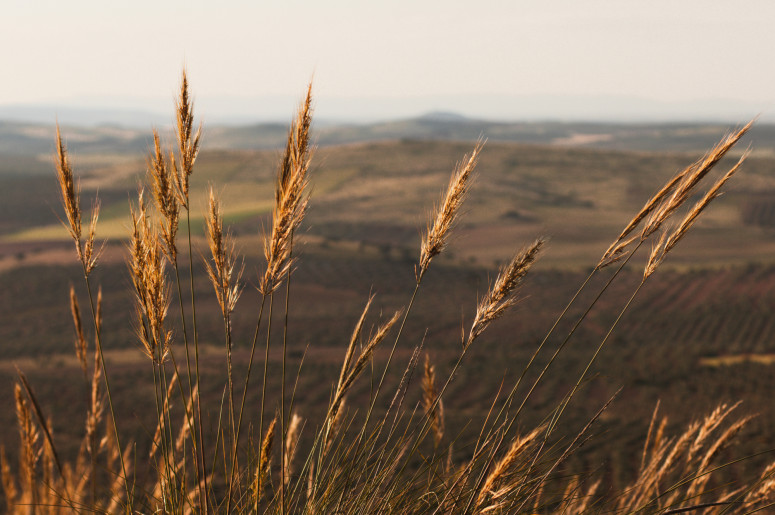 Hotel LC: Atardecer Manchego Hotel LC: Atardecer Manchego